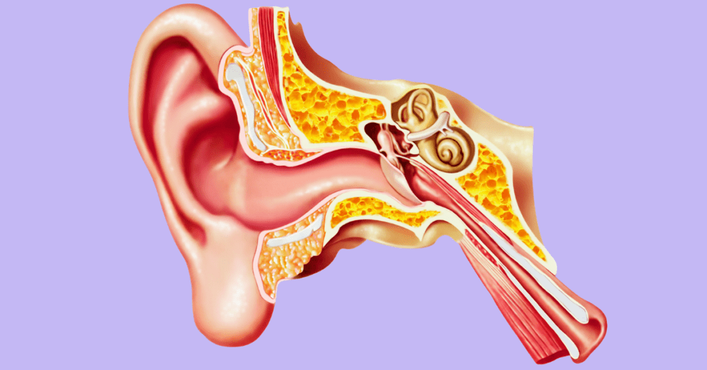 semaglutide tinnitus reddit Eustachian Tube Dysfunction And Its Association With Tinnitus