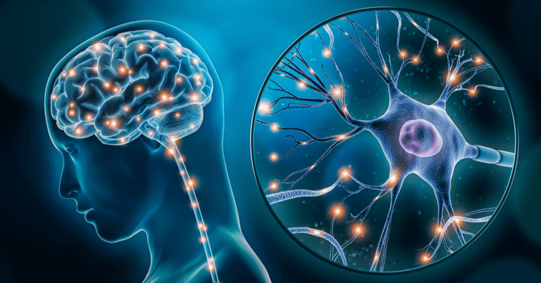 How Do You Retrain Your Brain To Ignore Tinnitus?