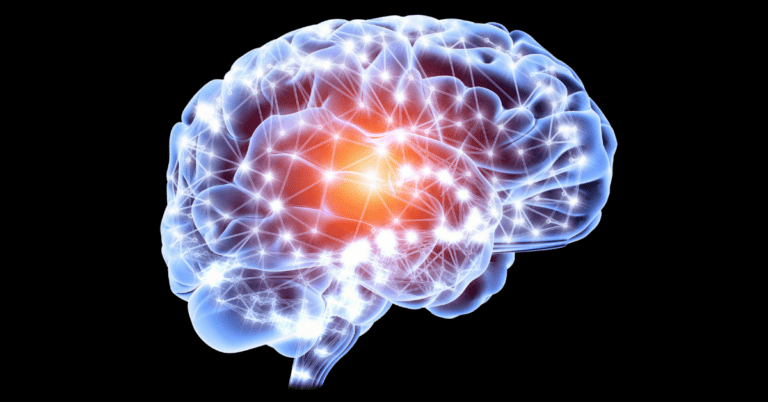 Diagram of the brain networks