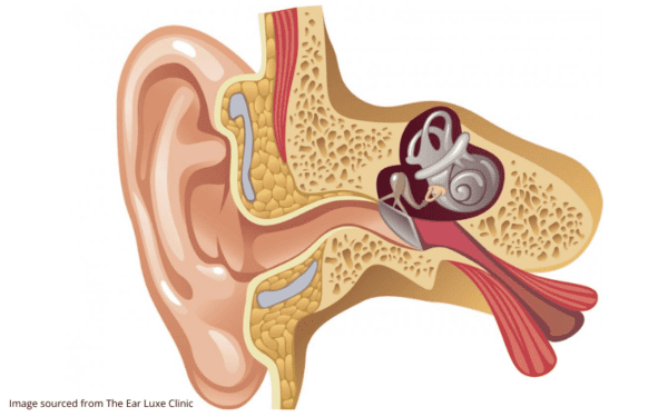 Clogged Ears And Ringing: What Are Some Common Causes?