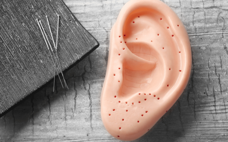 Ear with acupuncture needle holes